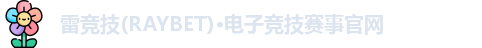 雷竞技raybet